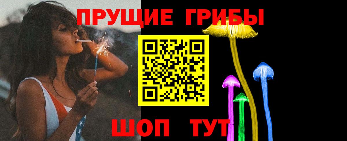 Псилоцибиновые грибы прущие грибы Жигулёвск
